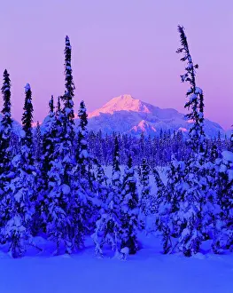 Denali Prints: Warm light of a winter sunset on January 1