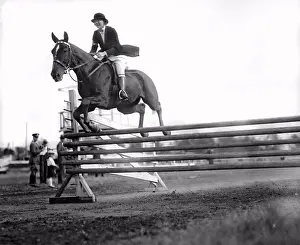 Horse Prints: Washington, D.C.: October 15, 1925