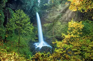 Fern Prints: Washington Oregon Road Trip Fall Autumn Fall Colors