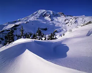 Public Land Prints: Washington State, Mount Rainier National Park, view from Glacier Vista