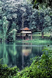 Carnivora Prints: Watch tower at Thunakadavu in Parambikulam Tiger Reserve, kerala, South India, India, Asia