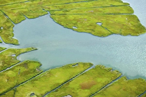Rhode Island Prints: Water and landscape, Newport County, Rhode Island, USA