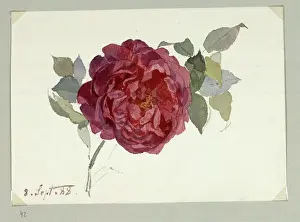 Composition Prints: Watercolor and pencil drawing by Marie Lippert-Hoerner from September 8