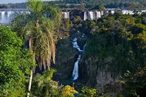 Calm Prints: Waterfalls in a forest, Iguacu Falls, Argentina-Brazil Border