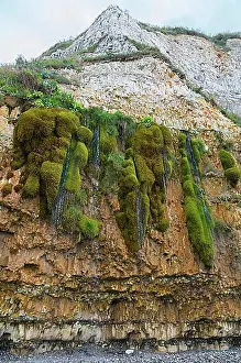 Normandy Prints: The weeping rock, la Roche qui Pleure