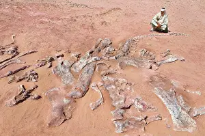 Dinosaur Prints: West Africa, Niger, Agadez Province