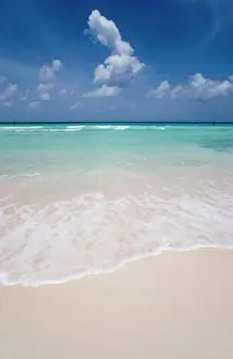 Royalty Free Prints: West Indies, Barbados, Christ Church