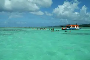 Caribbean Prints: West Indies, Tobago, Buccoo Reef