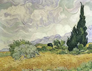 Cypress Prints: Wheat Field with Cypress Trees 1889 Vincent van Gogh (1853-1890 Dutch) Oil on canvas National Gallery