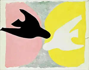 Private Collection Prints: The white bird and the black bird