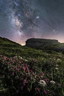 Calm Prints: White field flowers and green grass on hill with colorful bright sky with milky way on background