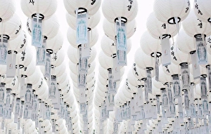 Orient Prints: White lanterns at the Bongeunsa buddhist temple, Seoul, South Korea