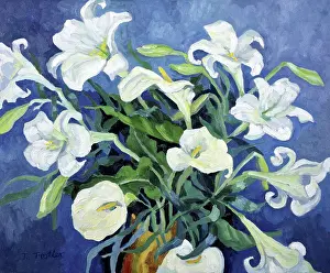 Still Life Prints: White Lilies Josephine Trotter (b.1940/British)