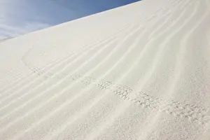 New Mexico Prints: White Sands National Monument, New Mexico