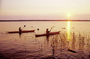 Swamp Prints: Whiteshell Provincial Park, Manitoba, Canada