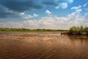 Reise Prints: The wild Danube Delta The wild Danube Delta Copyright: xZoonar.com/RobertxBossx 5159683