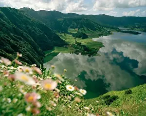 Daisy Prints: Wild flowers at the precipice of Lagoa Azul