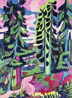 Colourful Prints: Wild Mountain (Mountain Forest; Summer Forest); Wildboden (Bergwald; Sommerlicher Waldweg)