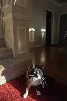Opening Prints: At wincing from sunlight behind open door