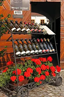Trades Prints: Wine bottles on display, Weingut Landauer winery