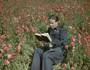World War Two Prints: Wing Commander Guy Gibson VC, Commanding Officer of No