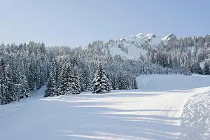 Peaceful Scene Prints: A winter scene