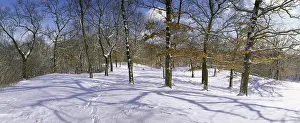 Winter Four Season Set