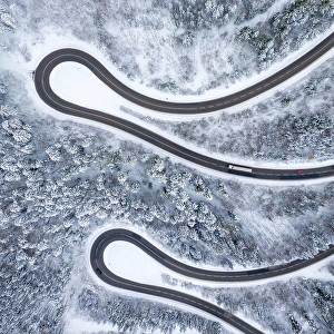 Curve Prints: Winter snow winding road Serpentine Switchbacks forest woods season aerial photo view square drone