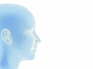 Facial Prints: Wireframe head, computer artwork