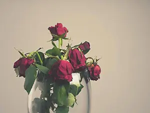 Containers Prints: Withered bouquet of red roses in a glass vase with space for text