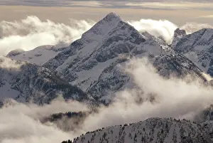 British Columbia Prints: Woden Peak in winter fog and snow