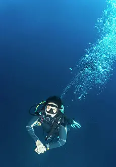 Diving Equipment Prints: Woman ascending into the clear water at the Tubbataha Reef