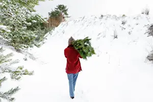 Mystery Prints: woman carries a Christmas tree in the middle of a winter forest