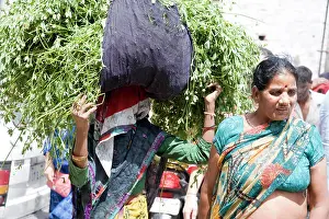 2016 Prints: Woman carrying green grass, mathura