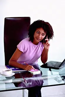 Computers Prints: Woman at desk