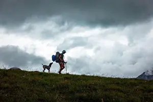 Toughness Prints: Woman hiking along ridge with poles as her dog follows closely behind at sunset in Alpine Colorado