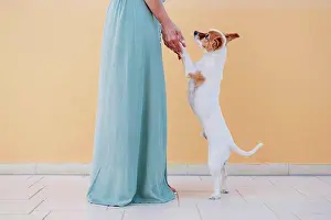 35 To 40 Years Prints: Woman holding dog legs while standing on sidewalk by wall