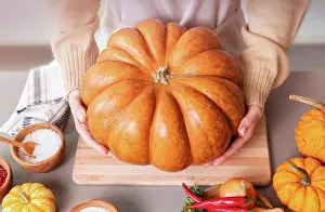 Farm Prints: The woman is holding a large pumpkin for making soup