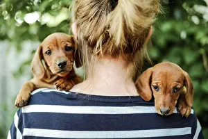 Kyiv Prints: woman with puppys standing outdoors