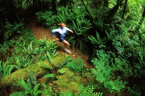 Runner Prints: Woman running the trails below the Lynn Canyon Suspension Bridge