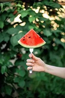 Produce Prints: a woman with a watermelon on the garden