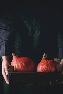 Thanks Giving Prints: Woman's hand from black hold wooden box with Hokkaido pumpkins over black bakground