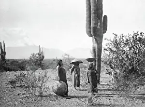 Archival Indians Prints: Three women, two of them with baskets on their heads, standing by cactus plant, Arizona