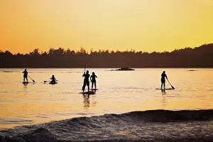 Boarding Prints: Five Women Stand Up Paddle Boarding On The Ocean Near Tofino