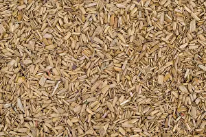 Einzelheit Prints: Wood chips texture Wood chips texture Copyright: xZoonar.com/BorisxZerwannx 9591090