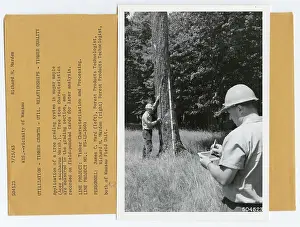 Wood Utilization. Photographs Relating to National Forests