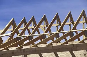 Beginnings Prints: Wooden framework of a roof of a house under construction