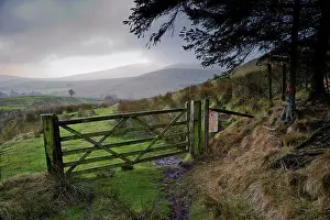 Hills Prints: Wooden gate in upland habitat, looking towards Bowland Fells