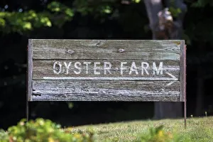 Farm Prints: Wooden Oyster Farm Sign on grassy hill