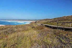 Body Of Water Prints: Wooden walkway to a lookout point